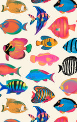 Lil Easy Shorts ~ Rainbow Reef